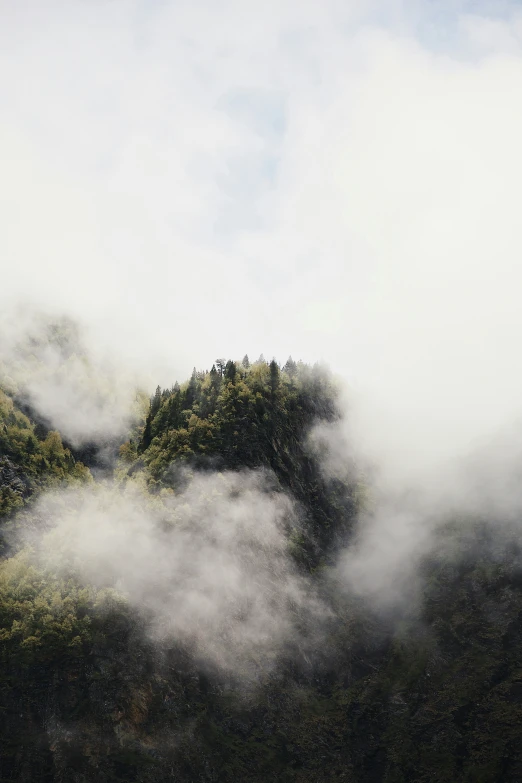 some trees and clouds in the sky by a mountain