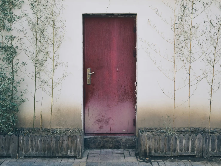 a red door sits beside a set of bamboo trees