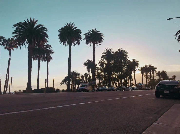 a street filled with lots of palm trees next to parked cars