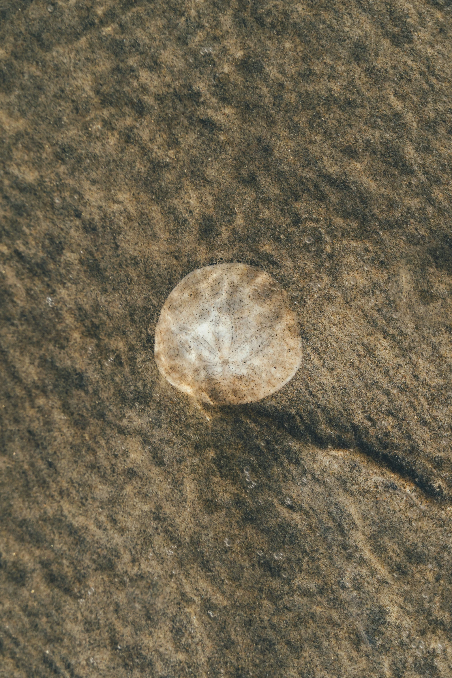 small rock on sandy beach with sky in background