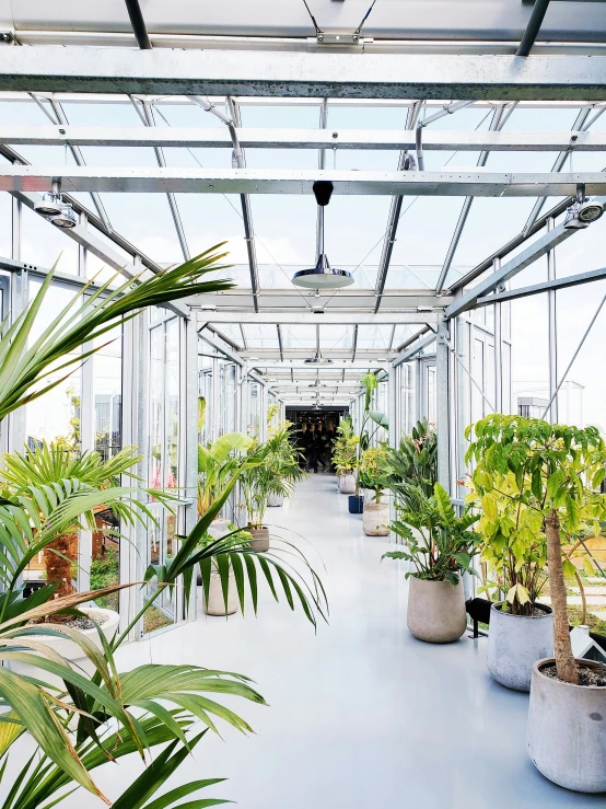 an indoor greenhouse with many plants growing inside