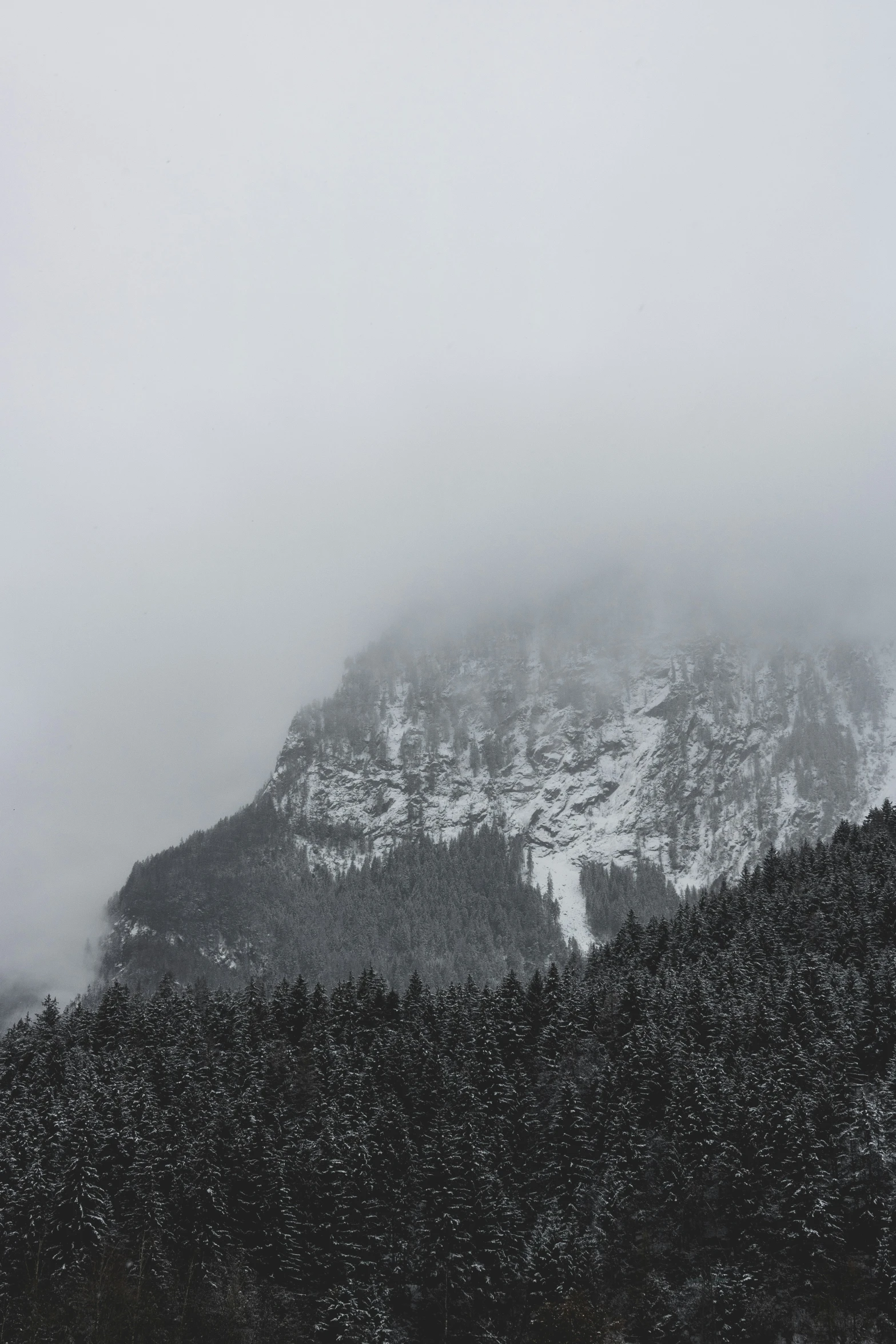 a mountain range is obscured in snow on a misty day