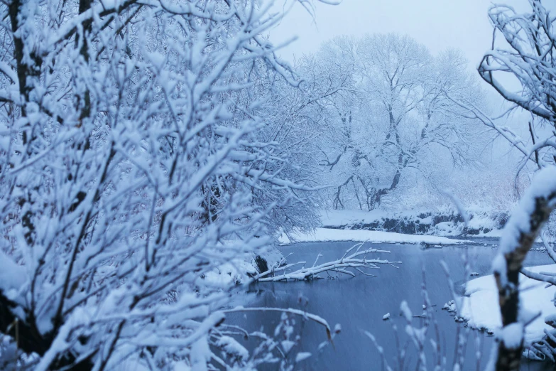 a frozen pond with small trees in the distance