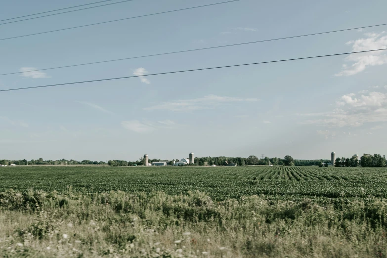 a green field on the side of a rural road