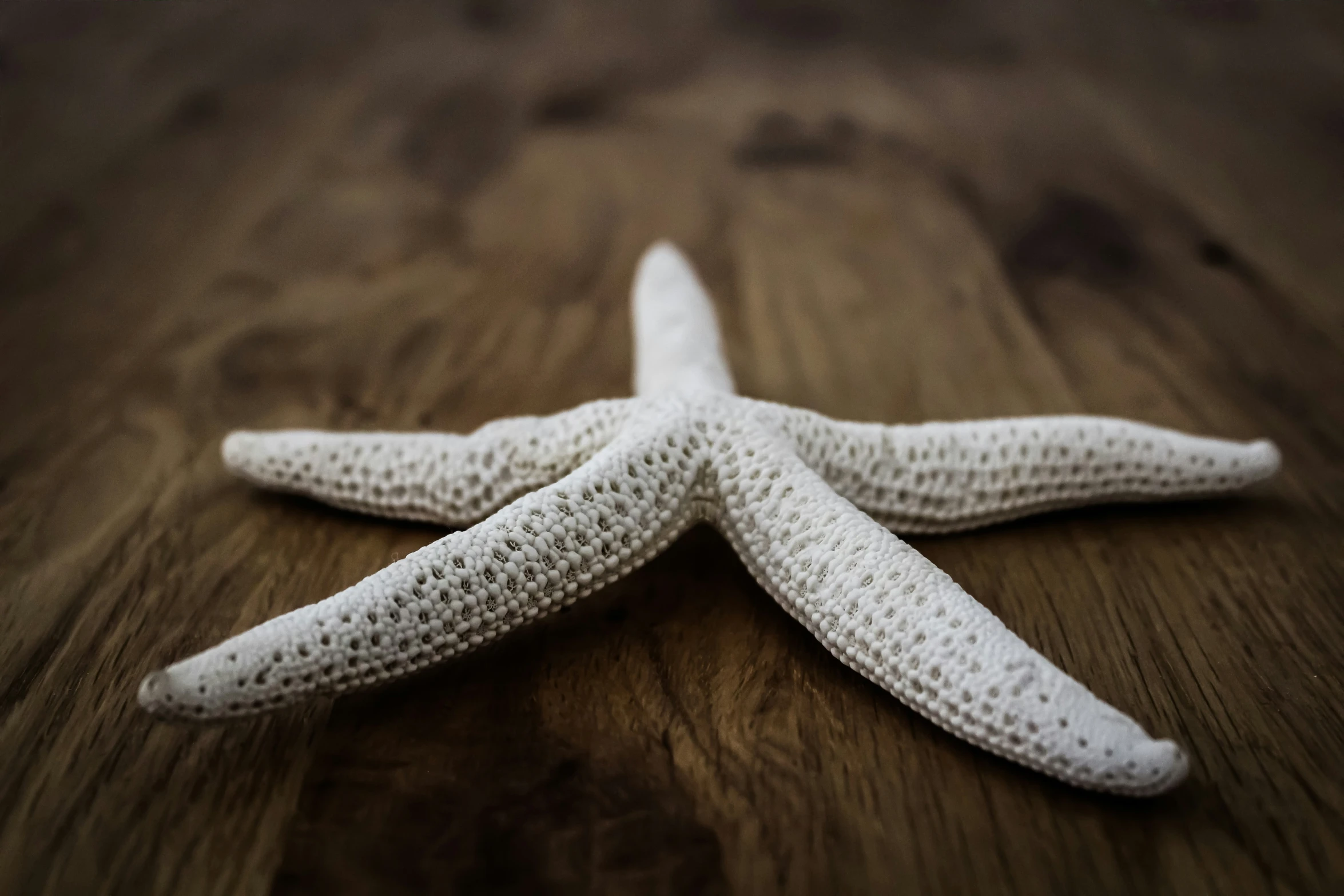 three white starfish laying on top of a wooden surface