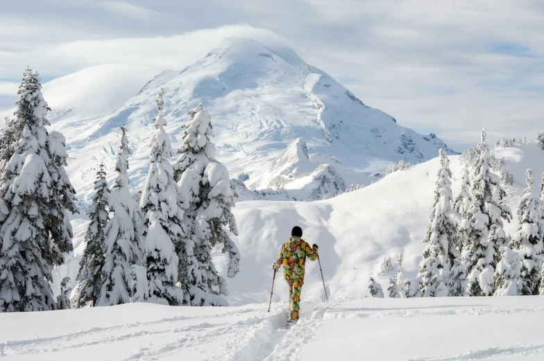 the person is cross country skiing on a mountain