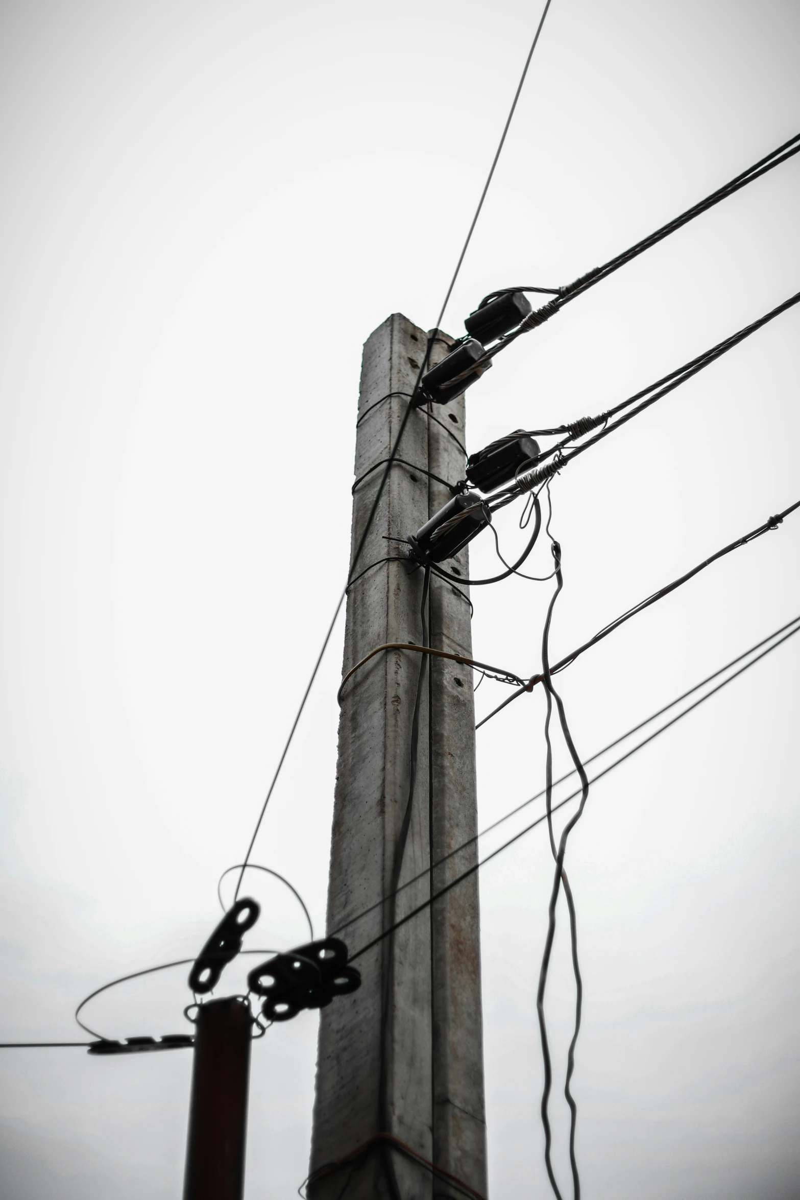 two birds perched on wires and a telephone pole