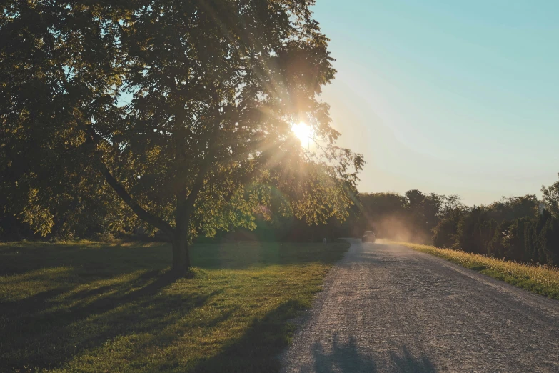 sun shines bright through a tree over a road