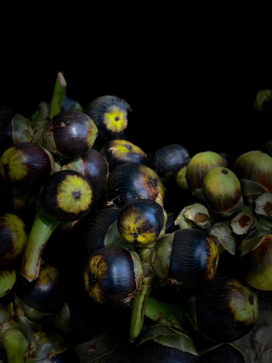 this is an image of the oil palm fruits