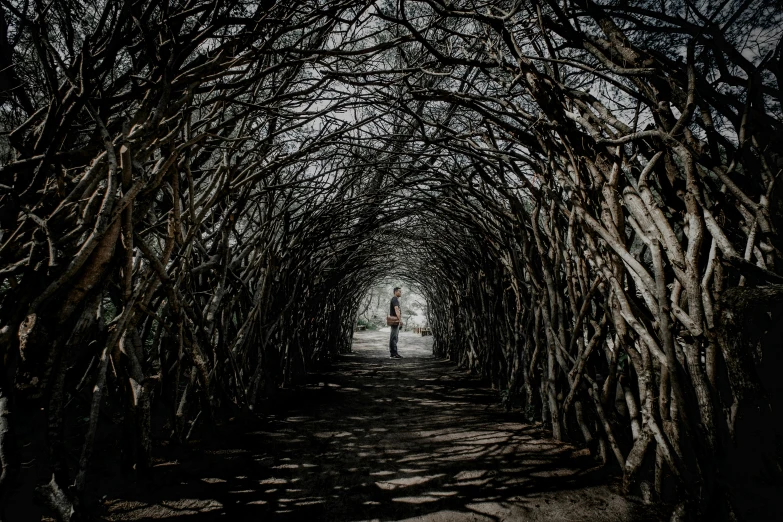 the road is lined with trees and bushes