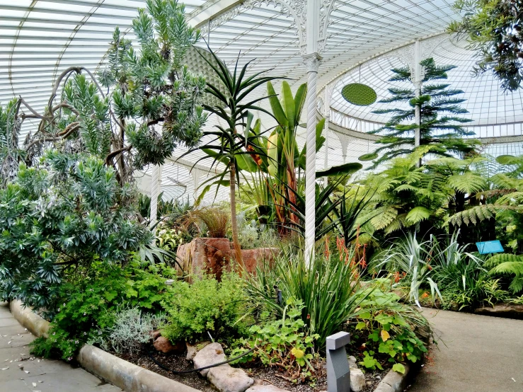 an inside of a greenhouse filled with lots of flowers