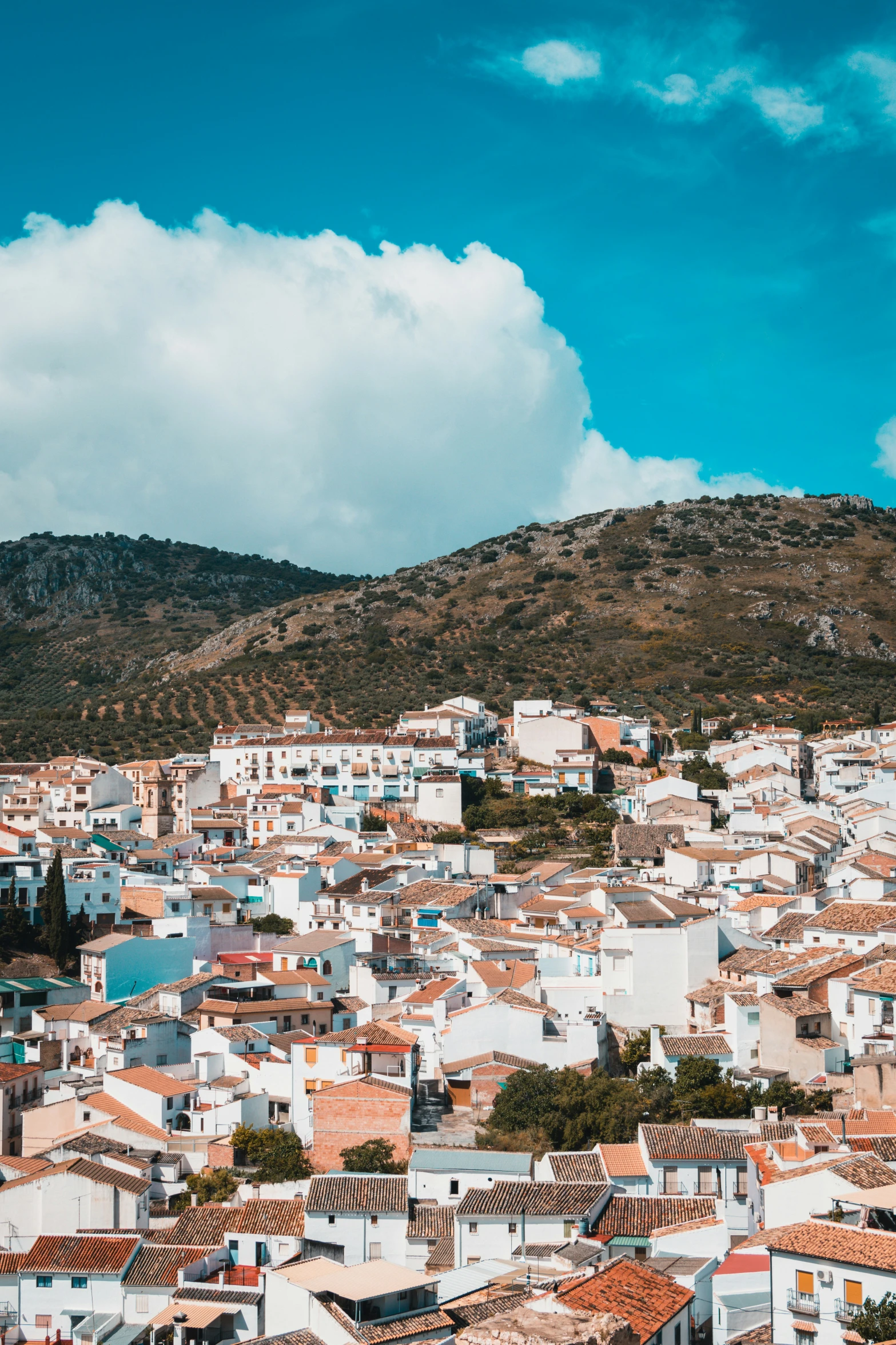 a view of a city with white houses and trees