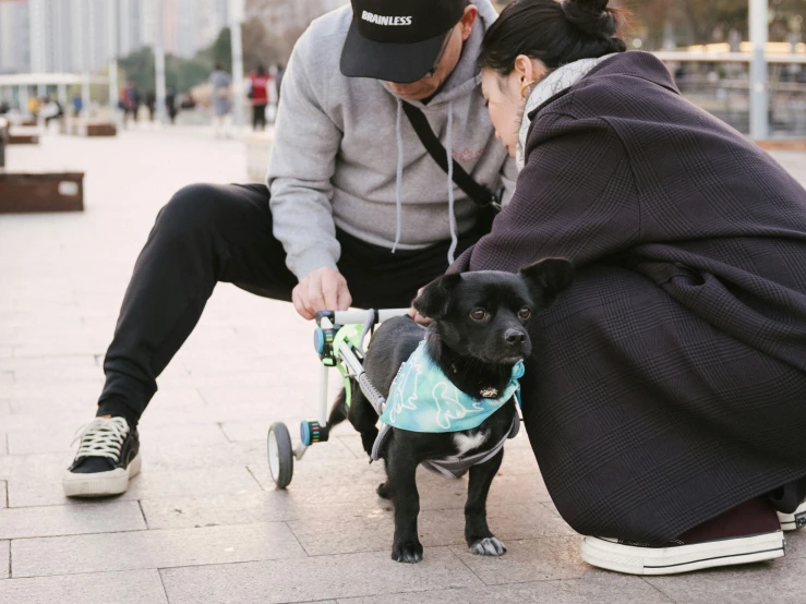 the man is playing with his small dog on a cart