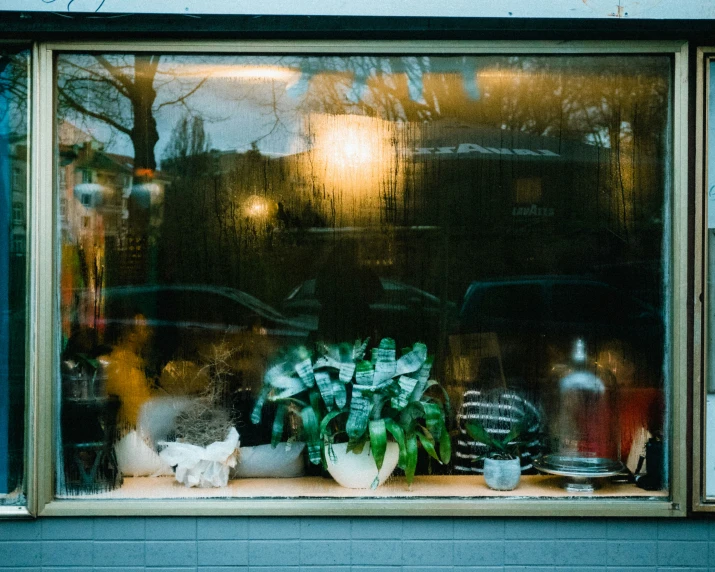 a window in the front of a building with a vase and potted plant