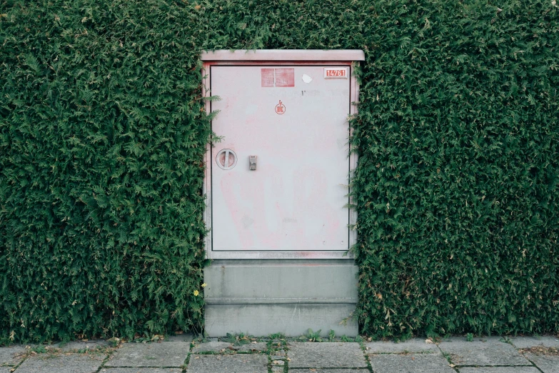 a door in front of a green hedge