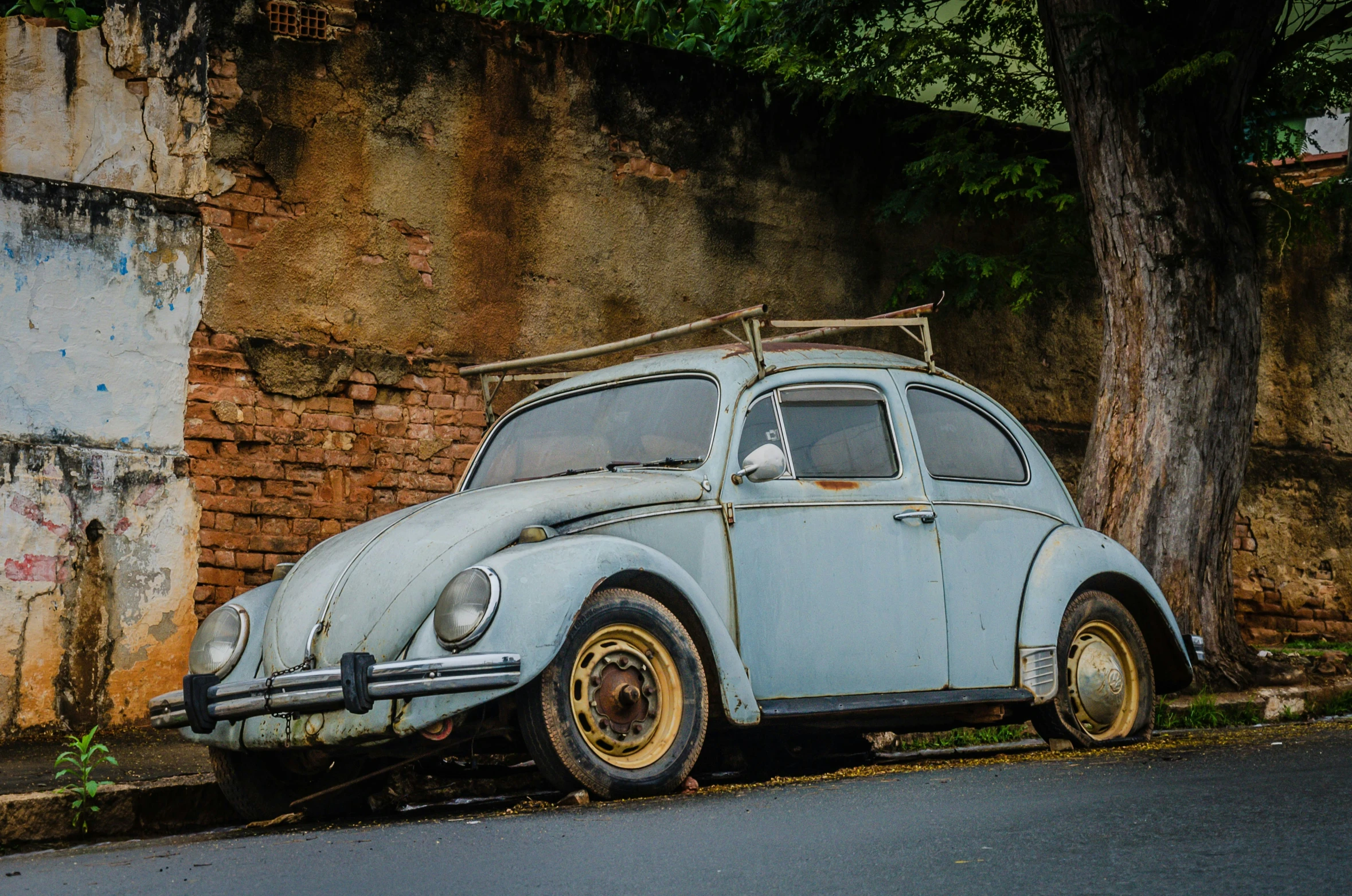 an old, dusty blue beetle sits parked next to the tree