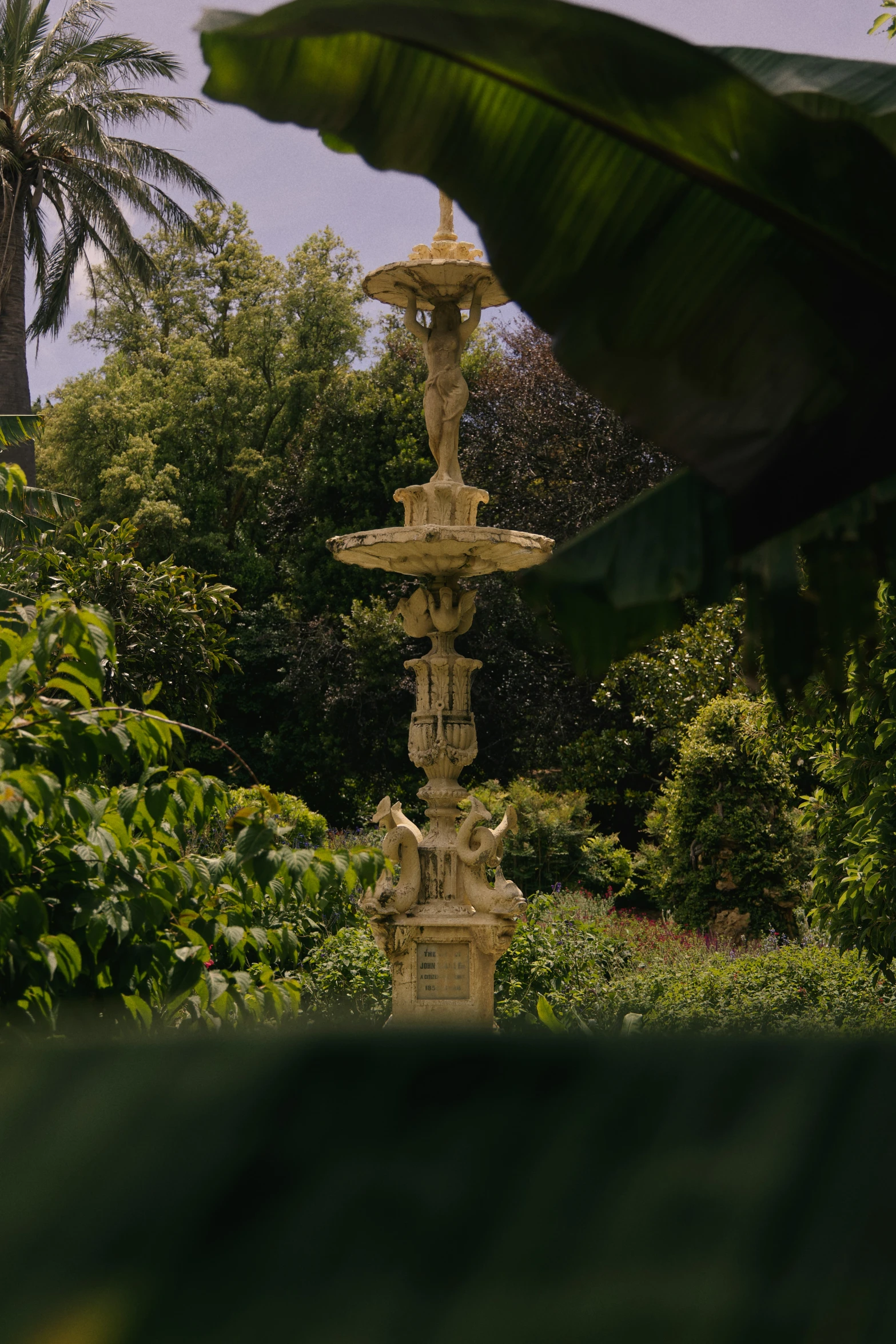 a statue surrounded by a group of plants