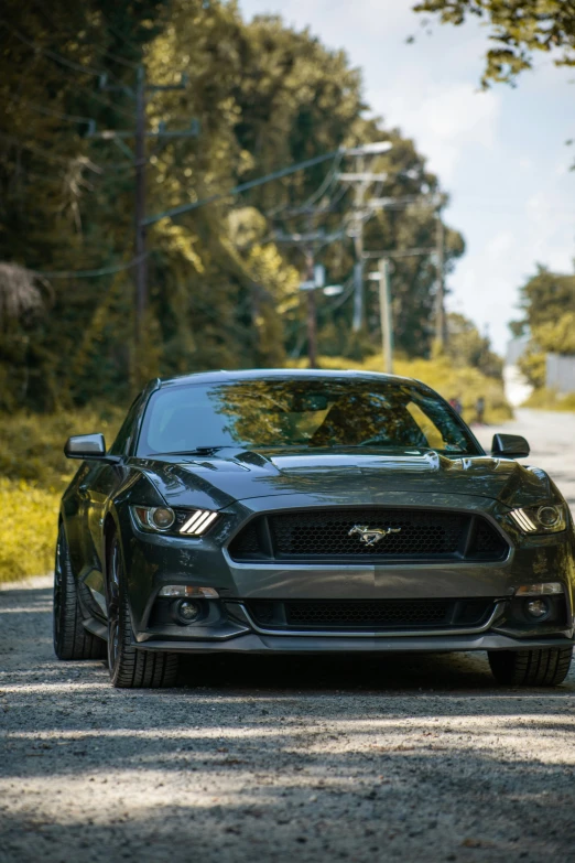 a ford mustang mustang on a road surrounded by forest