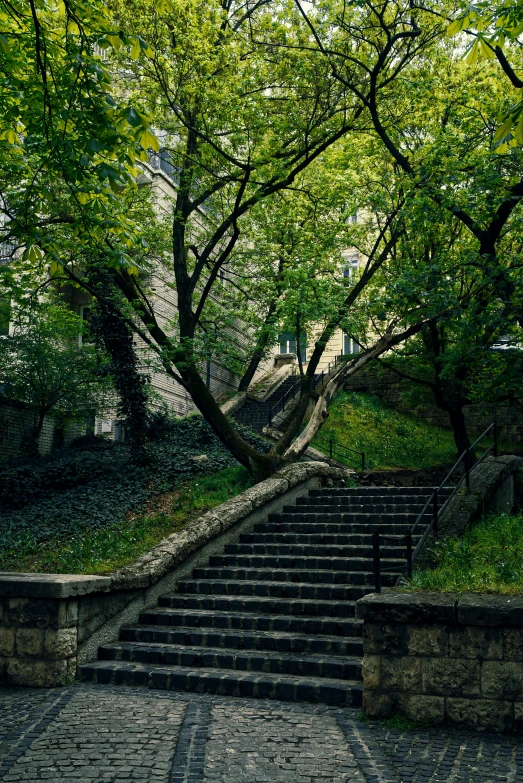 a group of stone stairs leading up to trees