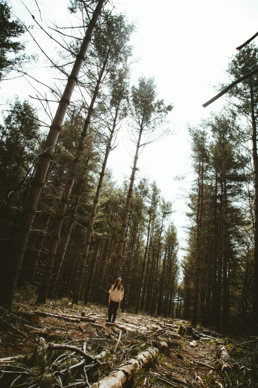 the person is walking in the forest with many trees