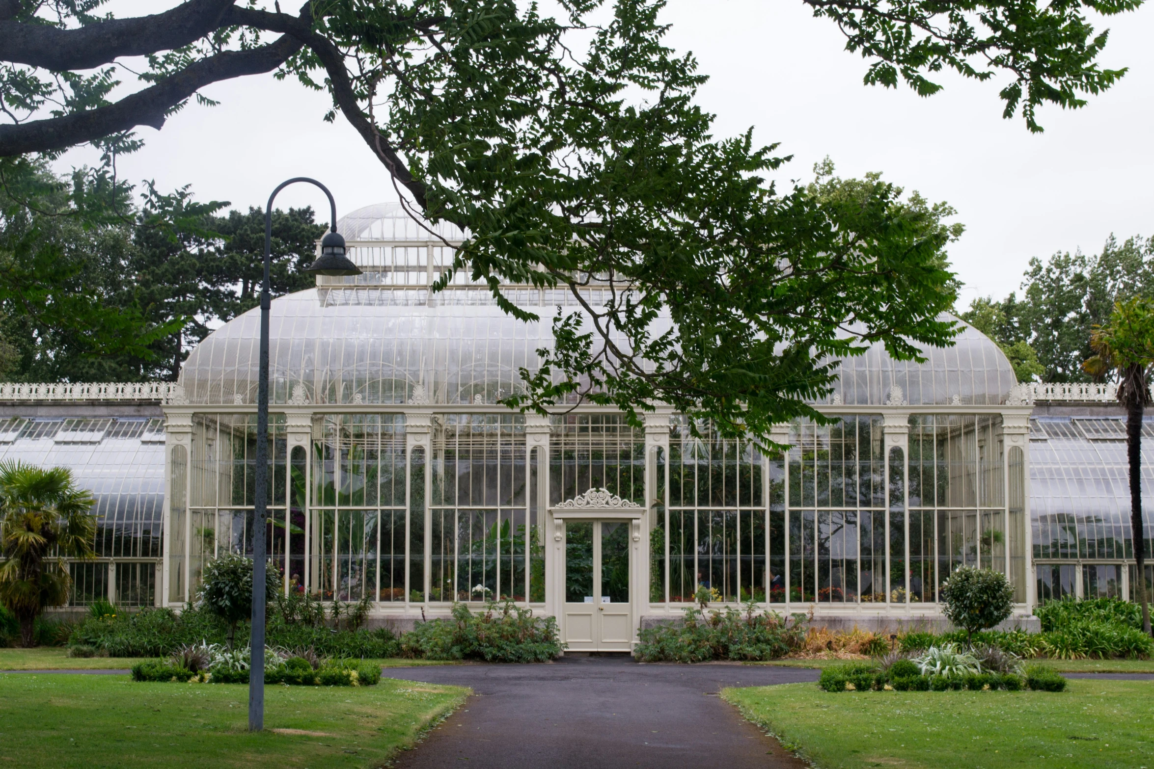 a glasshouse sitting inside of a lush green forest