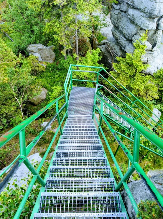 a stair way going down a mountain in front of trees