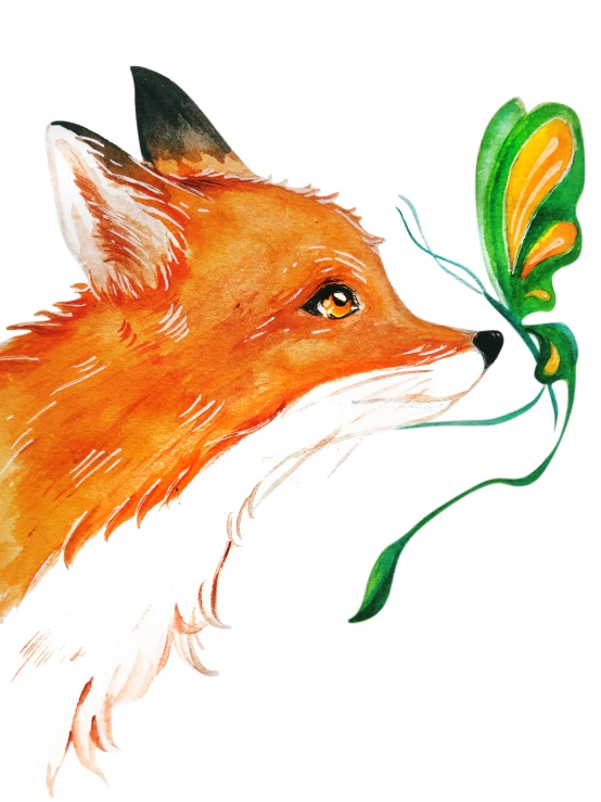 an orange fox with a flower in its mouth