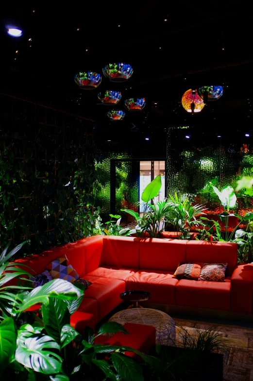 a long couch is surrounded by tropical plants