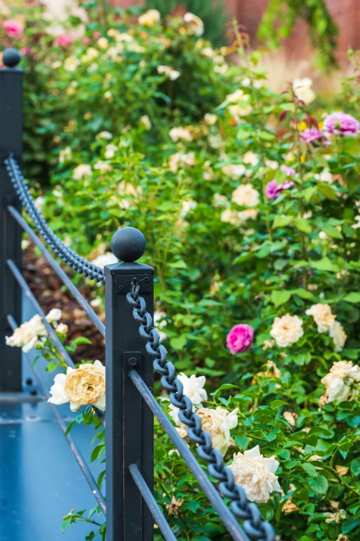 an iron fence surrounded by bushes and flowers