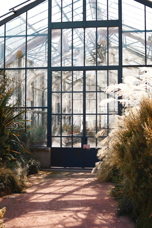 the walkway leads to an old greenhouse with lots of glass windows