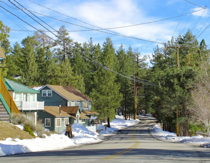 a road surrounded by trees and houses covered in snow