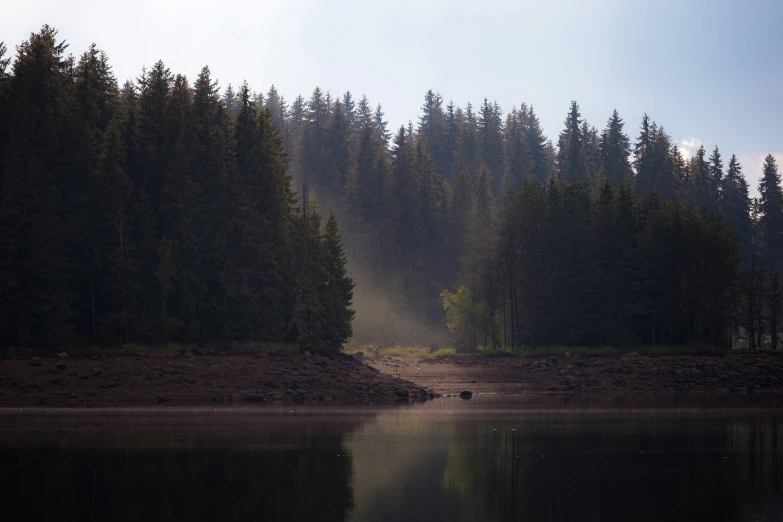 the fog rising off of a lake surrounded by tall trees