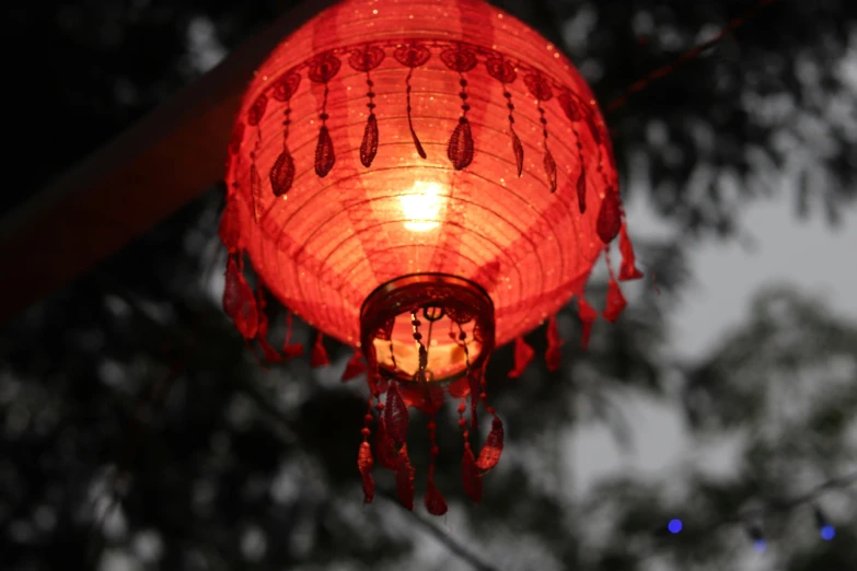 a light hanging over a tree at night