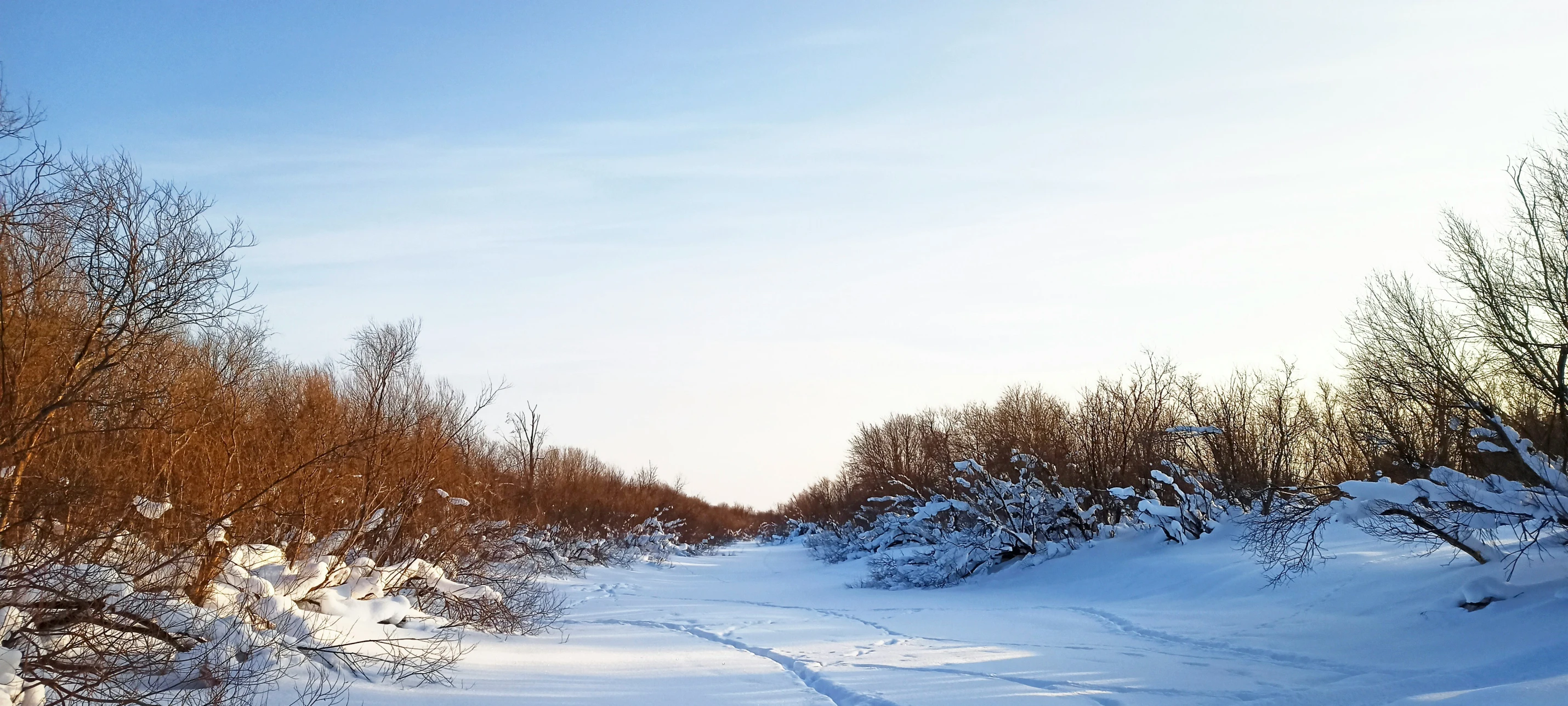 a path in a snow covered area next to some trees