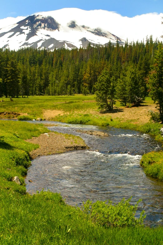 small creek flows through a meadow with mountains in the distance