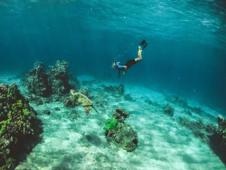 a man is swimming over an oceanbed with reef fish