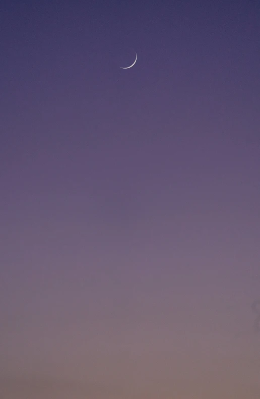 a single white object flying over a tree line