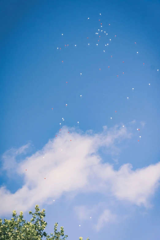 a very large kite in the air