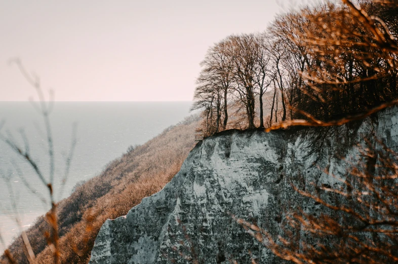 a mountain cliff with some trees on it