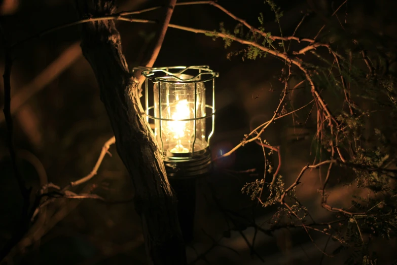 a yellow lamp that is standing on a tree