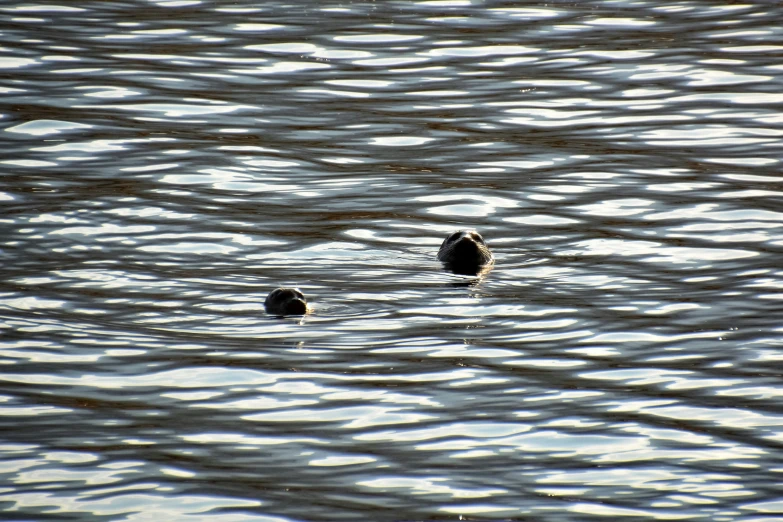 three rocks sticking out of the water near each other