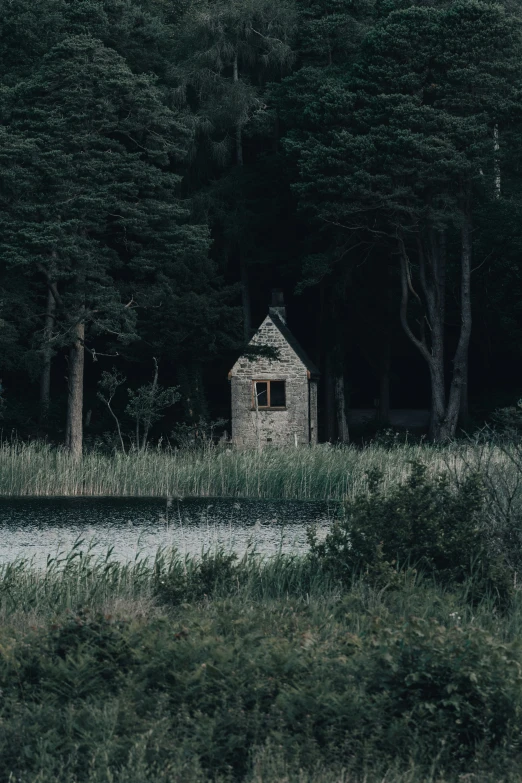 there is a small building in the middle of trees