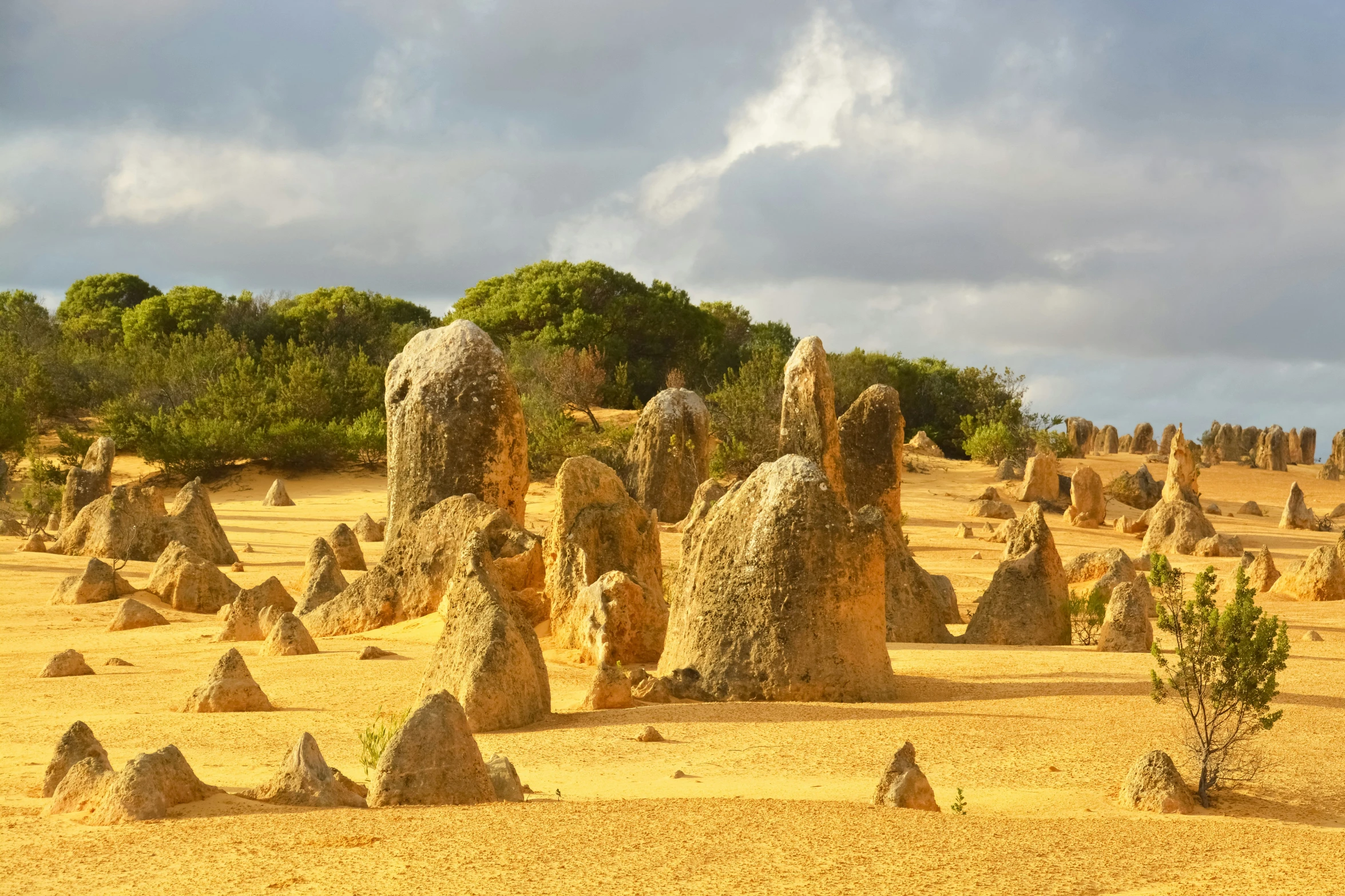 the desert has large, thin rocks on it