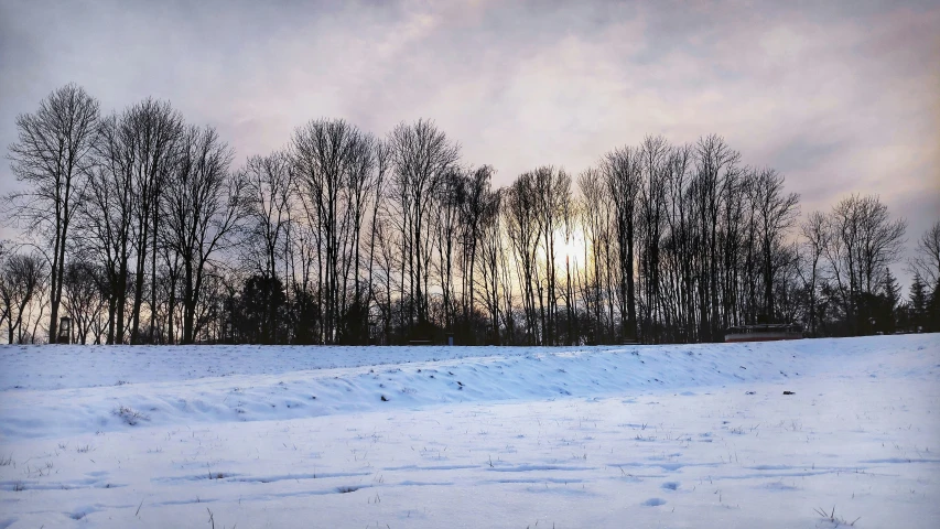 a lone horse in front of a snow - covered slope