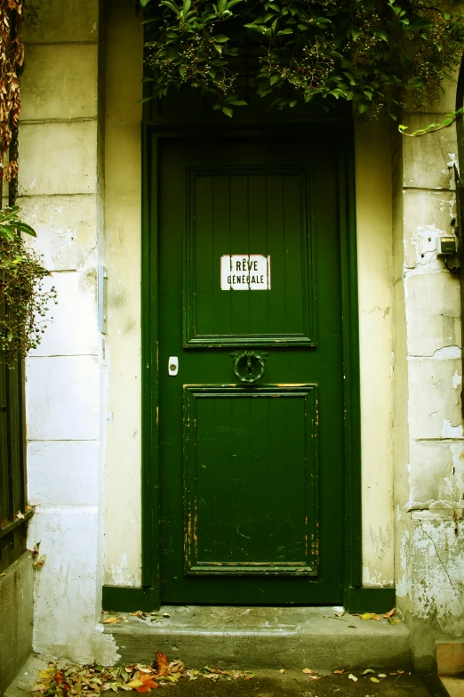 the door is green and brown near a black fence