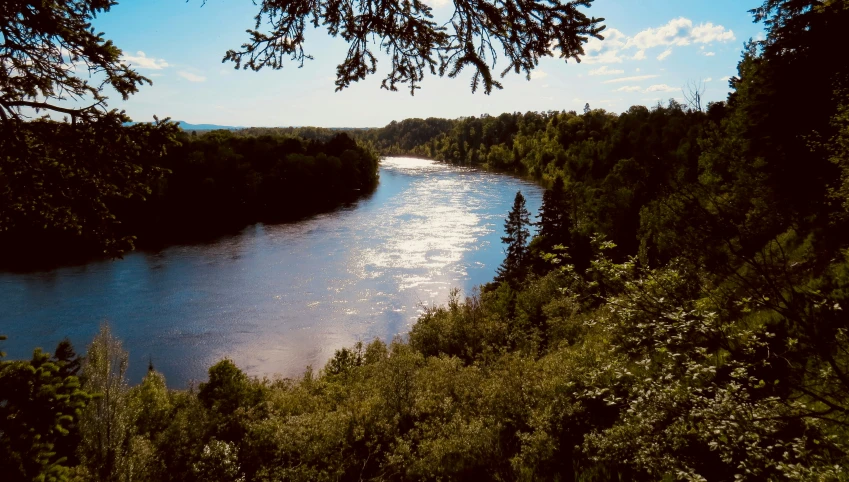 river surrounded by trees and grass near sky