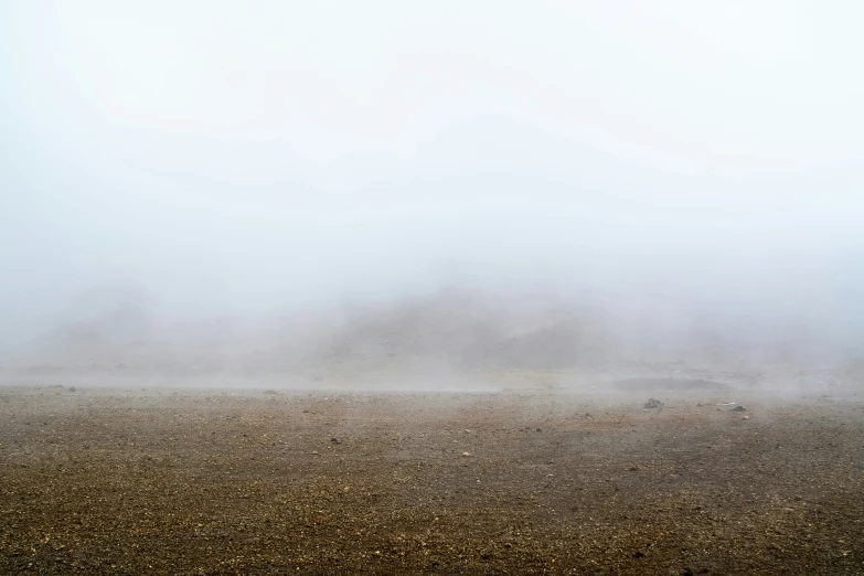 a cow standing in the middle of a desert