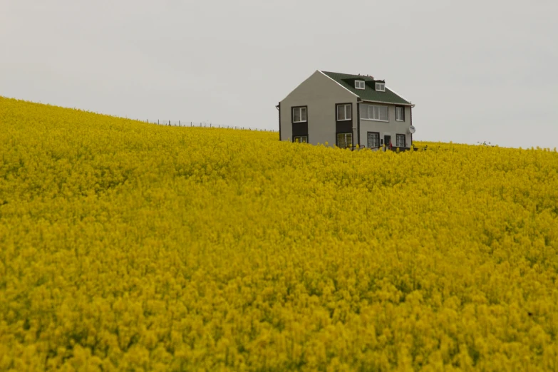 a farm house sitting in the middle of a field