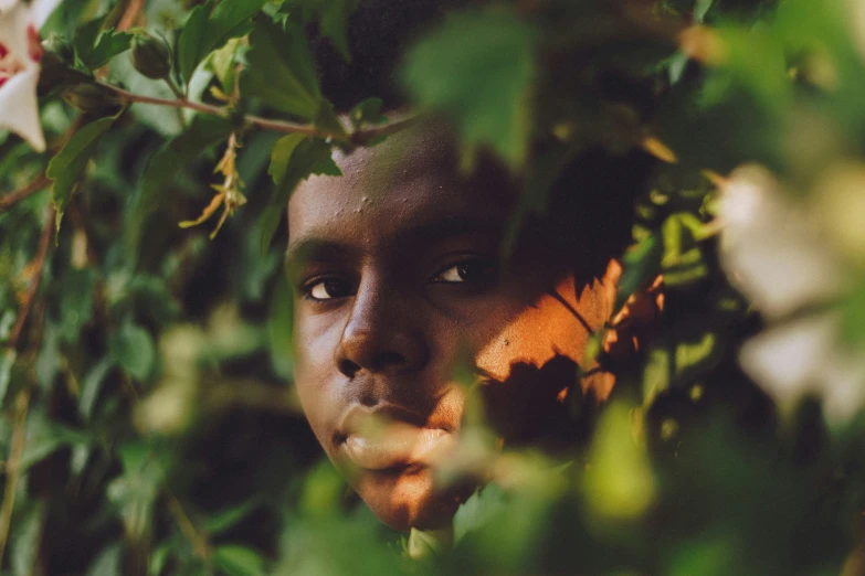 a young child hiding behind a bush looking to his left