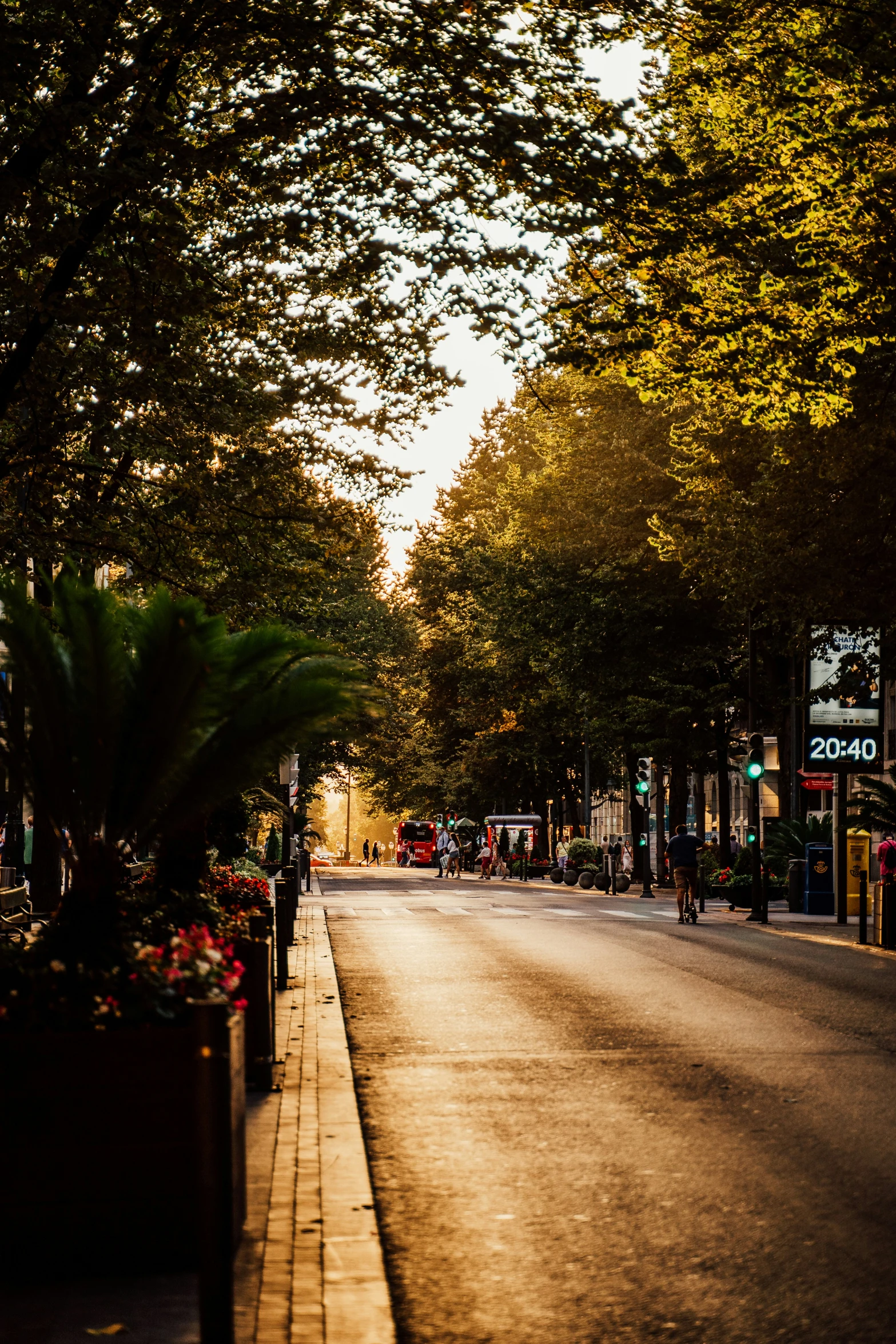 a city street with a few parked cars on the side